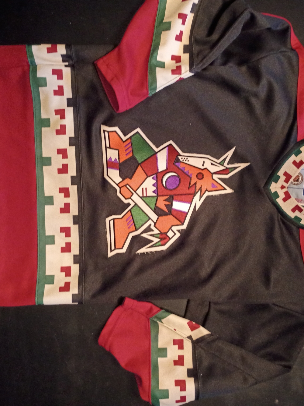 Vintage 1990s Phoenix Coyotes Kachina Jersey Boys L,XL